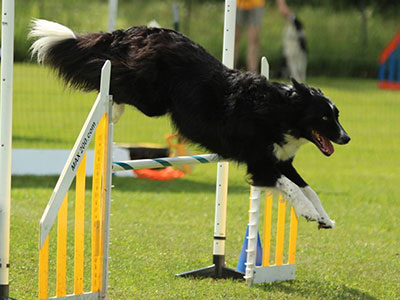 Agility