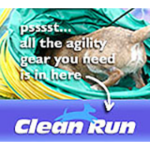 CleanRun Donate Badge