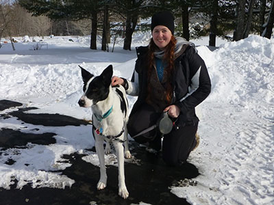Bringing Home Your Rescued Border Collie